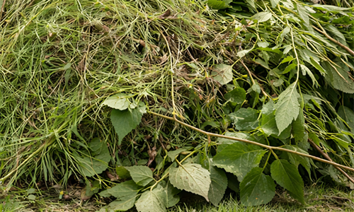 groenafval oomencontainers.nl